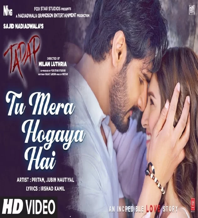 Tu Mera Hogaya Hai New Hindi Song 2022