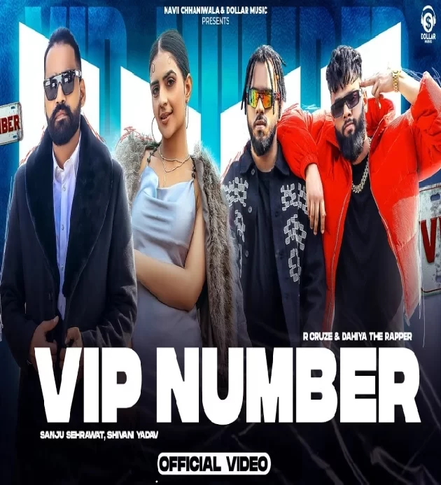 Vip Number New Haryanvi Song 2024