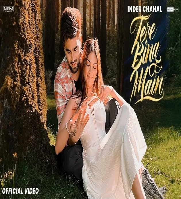 Tere Bina Main