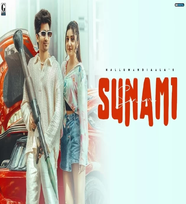 Sunami New Haryanvi Song 2024