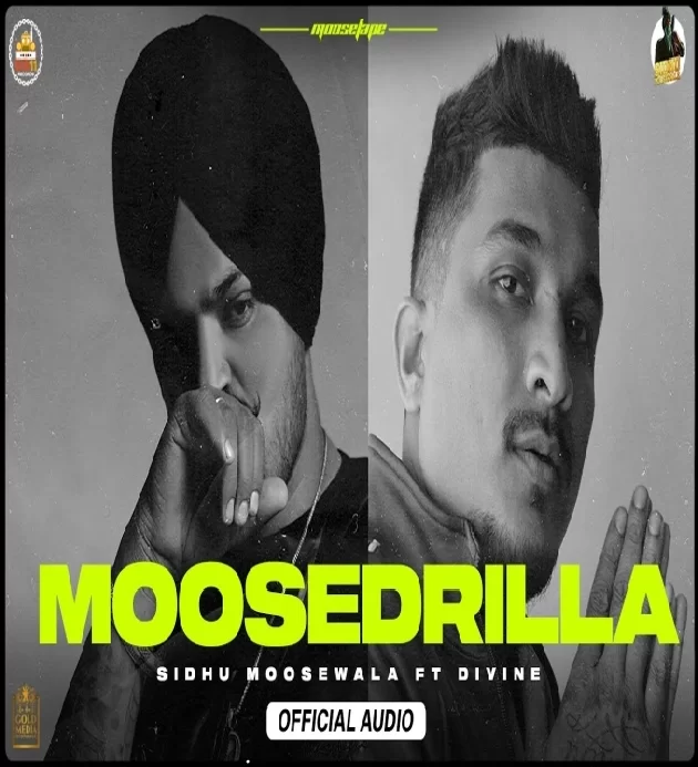 Moosedrilla