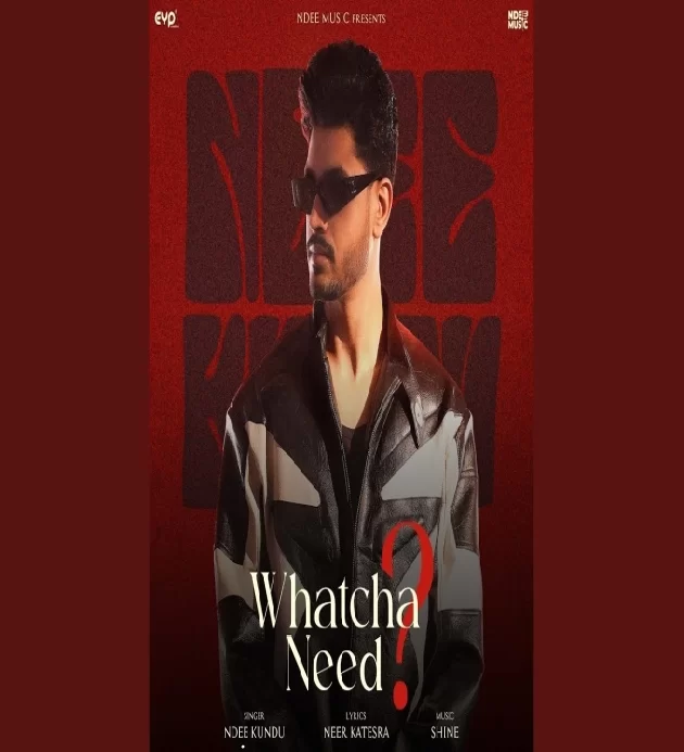 Whatcha Need Ndee Kundu New Haryanvi Song 2025